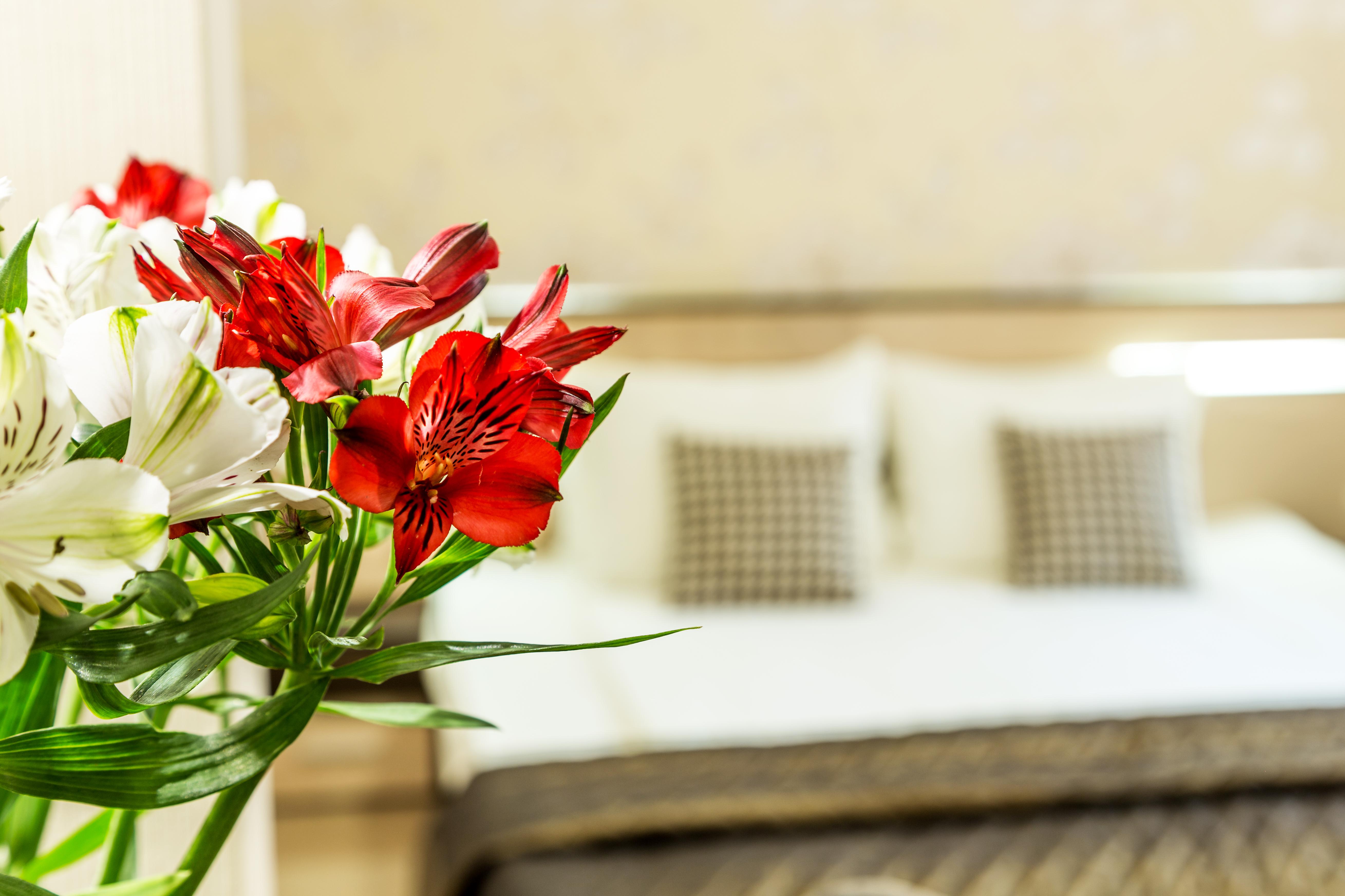 Hotel Avenue By Hmg-free Parking-free Wi-fi Sofia